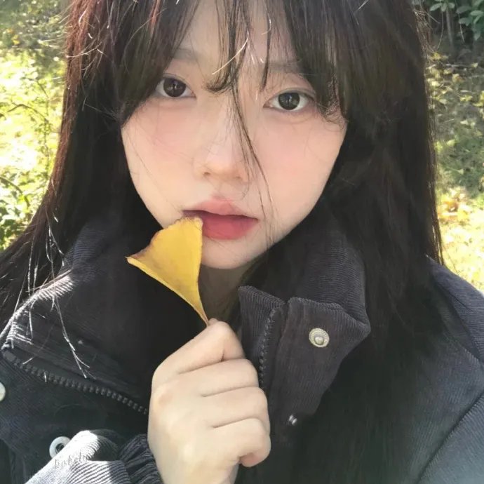 破碎的唱片